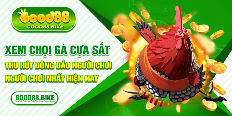 Xem chọi gà cựa sắt thu hút đông đảo người chơi nhất hiện nay