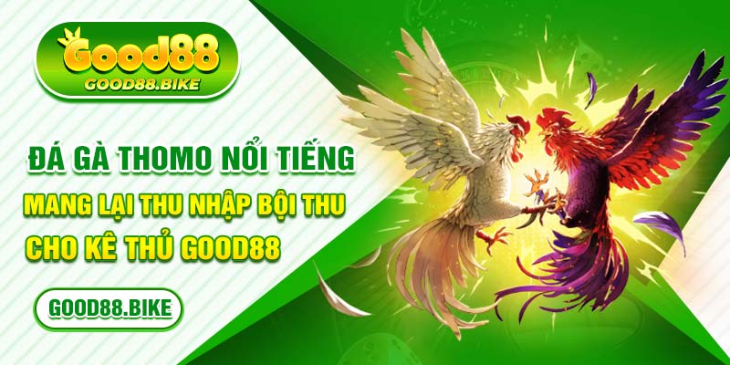 Đá gà thomo nổi tiếng mang lại thu nhập bội thu kê thủ Good88