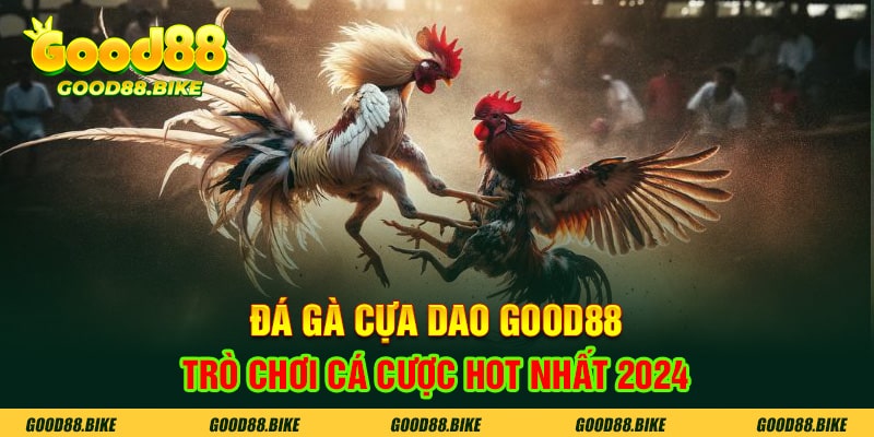 Đá gà cựa dao Good88