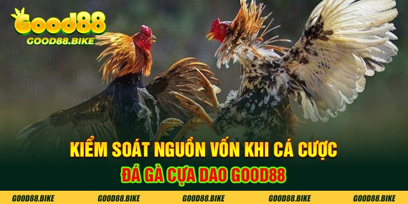 Kiểm soát nguồn vốn khi cá cược đá gà cựa dao good88