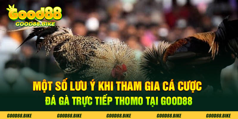 Một số lưu ý khi tham gia cá cược đá gà trực tiếp thomo tại good88