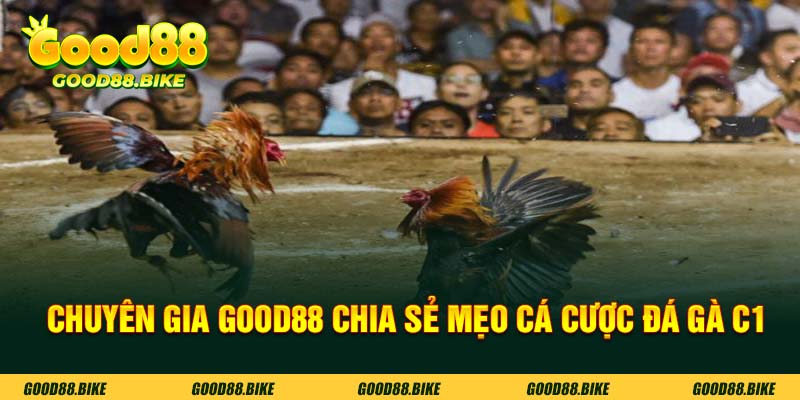 Chuyên gia Good88 chia sẻ mẹo cá cược đá gà C1