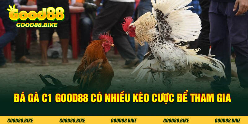 Đá gà C1 Good88 có nhiều kèo cược để người chơi tham gia