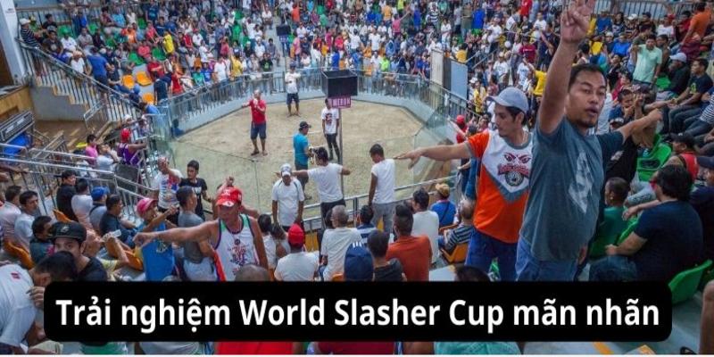 Trận đấu World Slasher Cup quy mô lớn